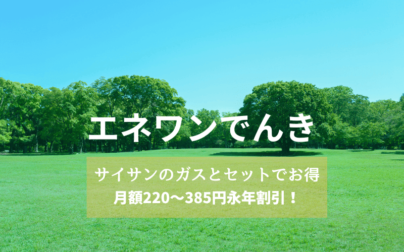 エネワンでんき｜都市ガスと電気料金をセットでお得に！簡単お申し込み